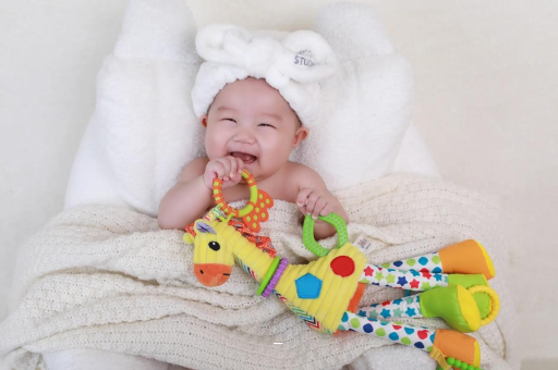 石狮怀孕初期肚子长肉